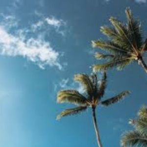 Meet your Posher, Martha